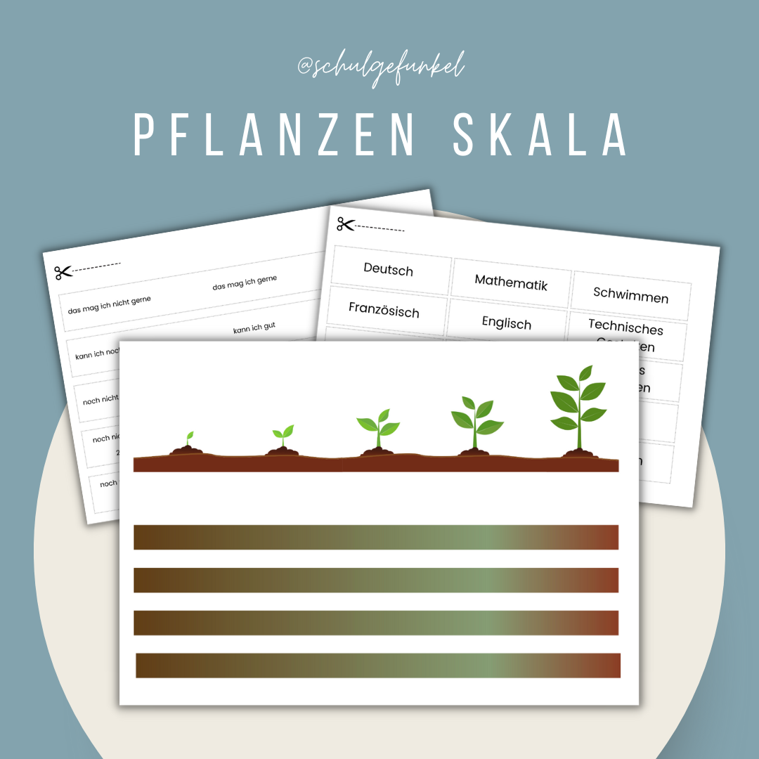 Standortgespräch - Pflanzen-Skala