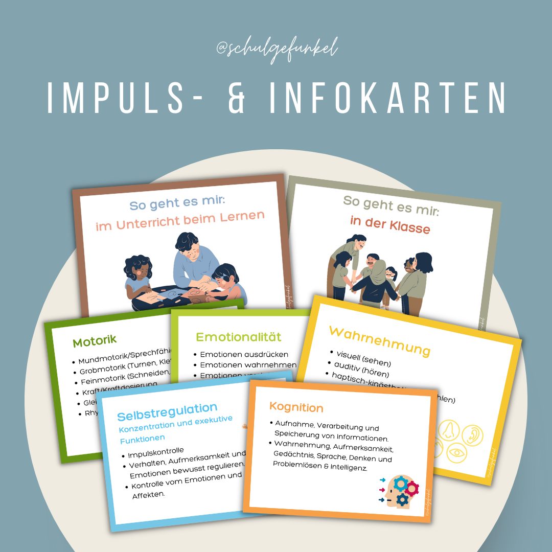 Standortgespräch - Impuls- und Infokarten Baummodell (Basisfunktionen)
